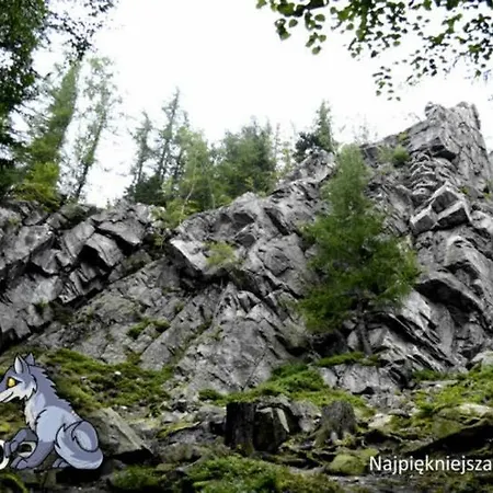 Goral Goralska Osada 홈스테이 *